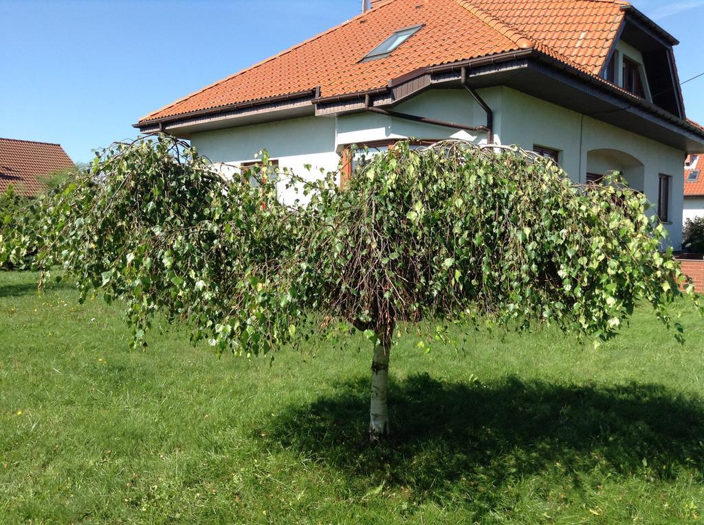 Landhaus Mit Garten Шчечин Екстериор снимка